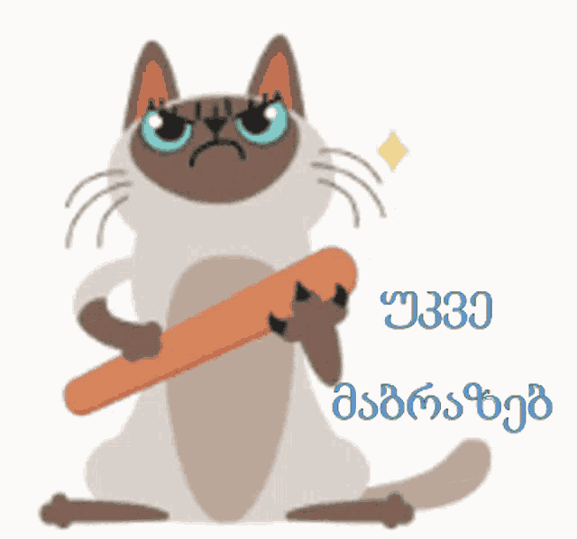 a cartoon cat is holding a skateboard in its paws and says a330 on the bottom