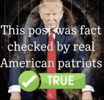 a picture of donald trump with the words `` this post was fact checked by real american patriots `` .