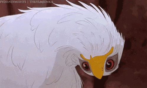 a white bird with a yellow beak is looking at the camera .