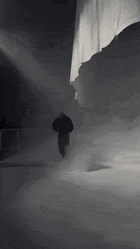 a man in a black jacket is walking through a foggy area