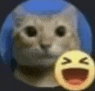 a cat is standing next to a smiley face .