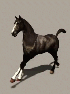 Horse Simulation GIF - Horse Simulation 3d GIFs