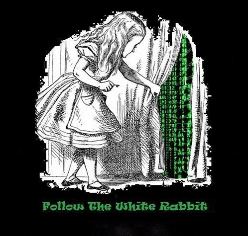 a black and white drawing of alice from alice in wonderland
