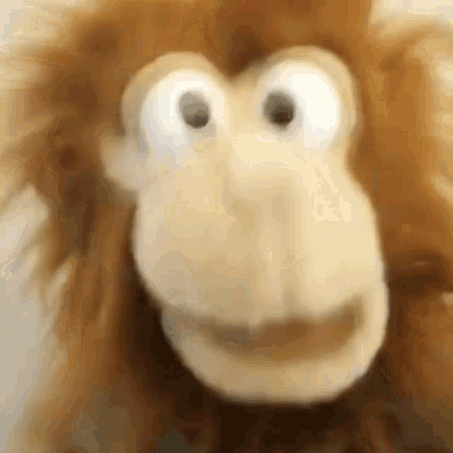 a close up of a stuffed monkey 's face with big eyes .