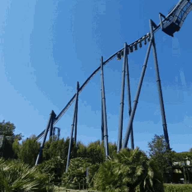 a roller coaster in a park with a blue sky behind it