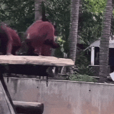 a group of monkeys are standing on top of a wooden platform .