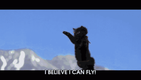 a dog is jumping in the air with a frisbee in its mouth and the words " i believe i can fly " written below it