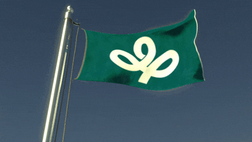 a green flag with a white e on it