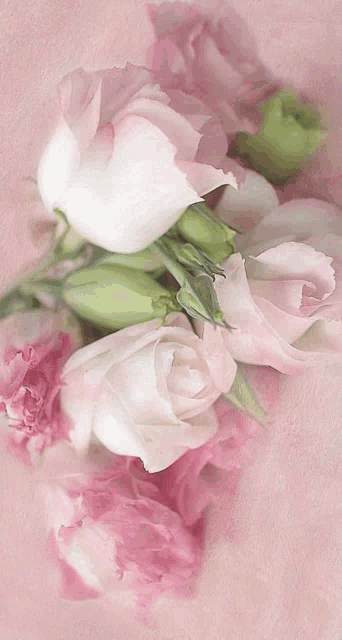 a bunch of pink and white flowers are on a pink background