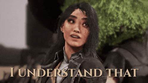 a woman in a video game with the words i understand that above her