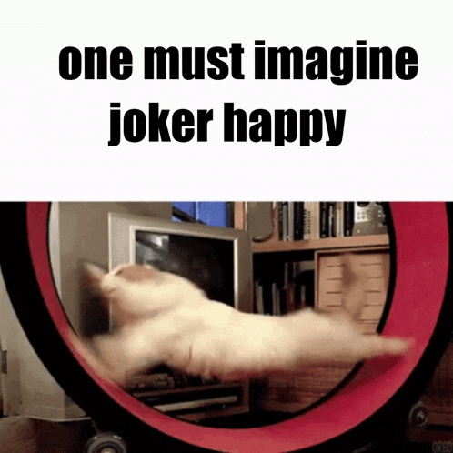 a cat is running on a hamster wheel with the words one must imagine joker happy above it