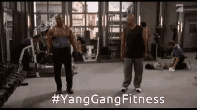 Ygf Yang Gang Fitness GIF - Ygf Yang Gang Fitness Terry GIFs