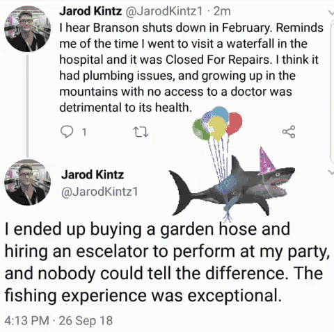 a picture of a shark with balloons and a party hat