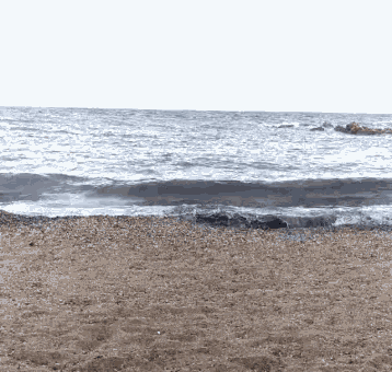 Beach Shore GIF - Beach Shore GIFs