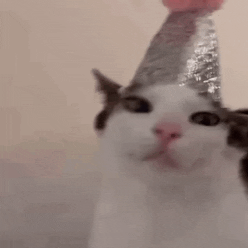 a cat wearing a party hat with a balloon on top of it .