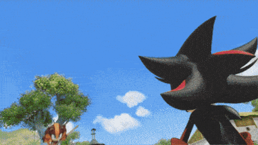 a cartoon of shadow the hedgehog and sticks the echidna