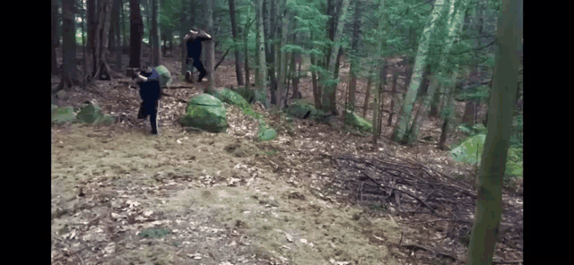 a group of people are walking through a forest with a large rock in the middle