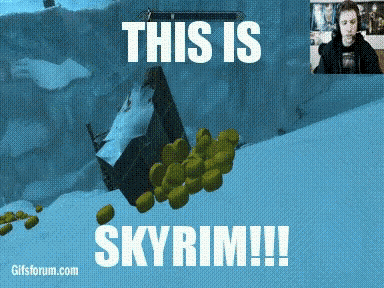 Video Game This Is Skyrim GIF - Video Game This Is Skyrim GIFs