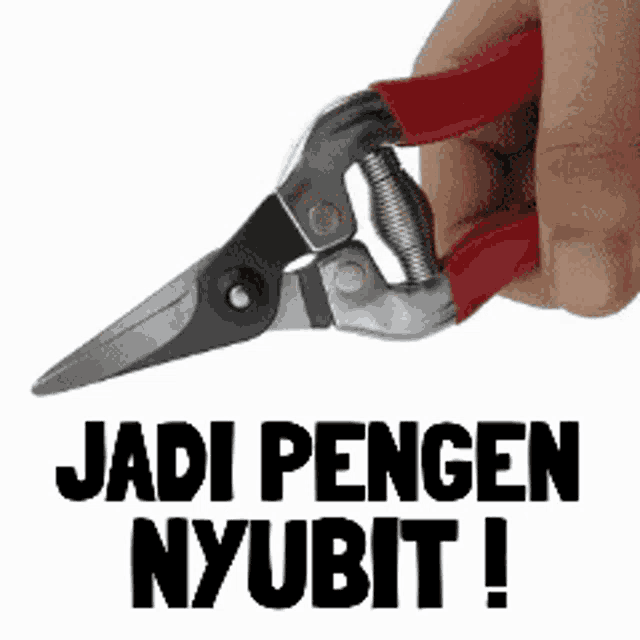 a hand is holding a pair of scissors with the words " jadi pengen nyubit " written below it
