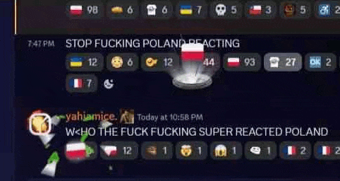 a screenshot of a video game with a message that says stop fucking poland reacting who the fuck fucking super reacted poland
