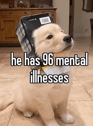 a puppy with a box on its head and the words he has 96 mental illnesses