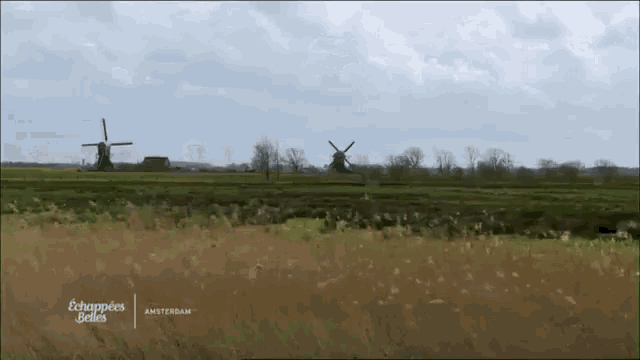 windmills in a field with the words " amsterdam " on the bottom