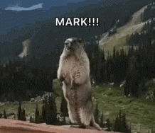 a ground squirrel is standing on its hind legs with the words mark !!! behind it