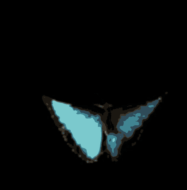a butterfly is flying in the dark with a black background