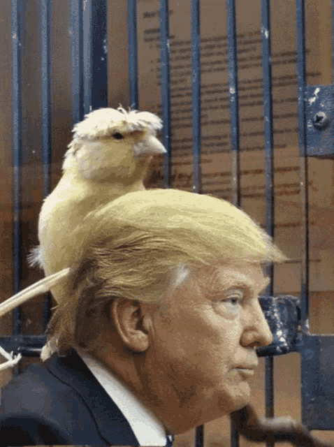 donald trump with a bird on his head behind bars