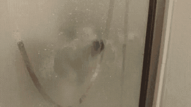 Dog Licking GIF - Dog Licking Glass GIFs