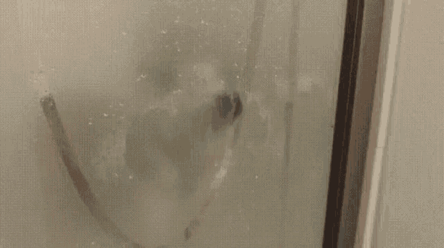 a person taking a shower behind a glass shower door
