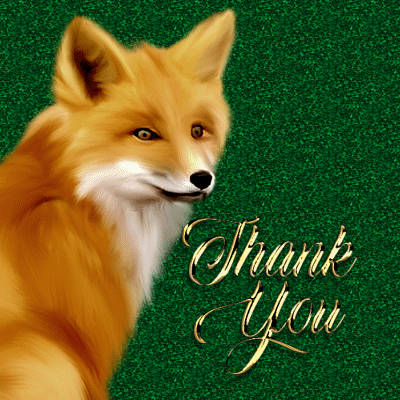 Thank You Wild Animal GIF - Thank You Wild Animal Fox GIFs
