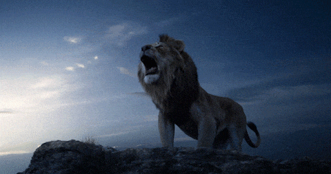 a lion standing on a rock with its mouth wide open
