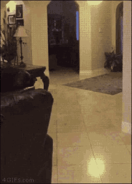 a picture of a living room taken by 4gifs.com shows a couch in the foreground