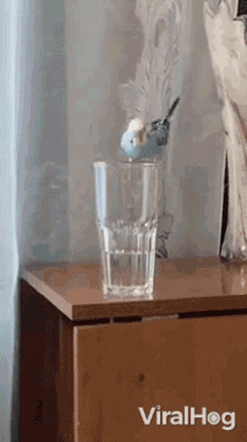 a bird is sitting on top of a glass of water on a table