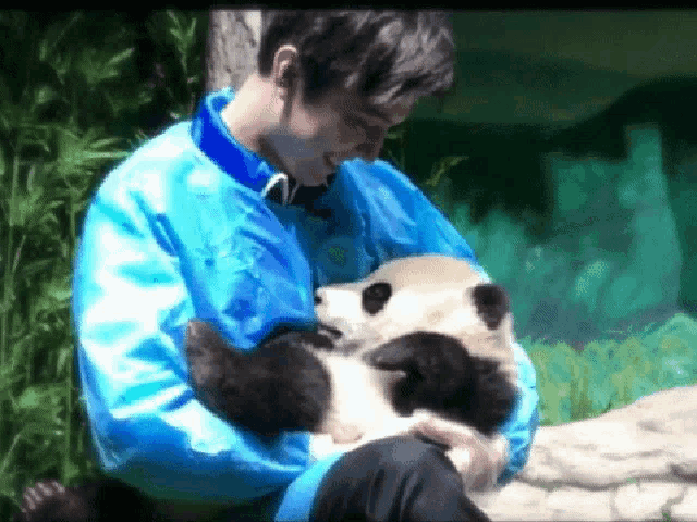 a man in a blue jacket is holding a panda bear cub