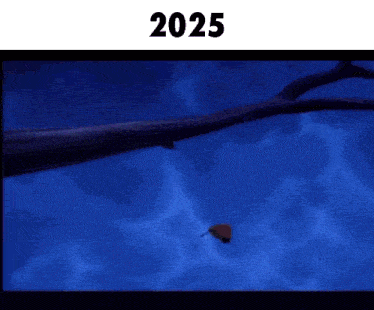 a picture of a tree branch hanging over a body of water with the year 2025 on the bottom
