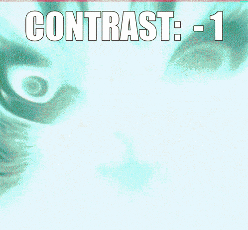 a close up of a cat 's face with the words contrast written below it
