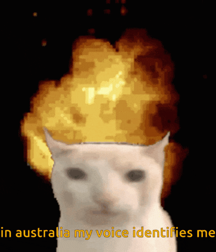 a picture of a cat with an explosion behind it and the words in australia my voice identifies me