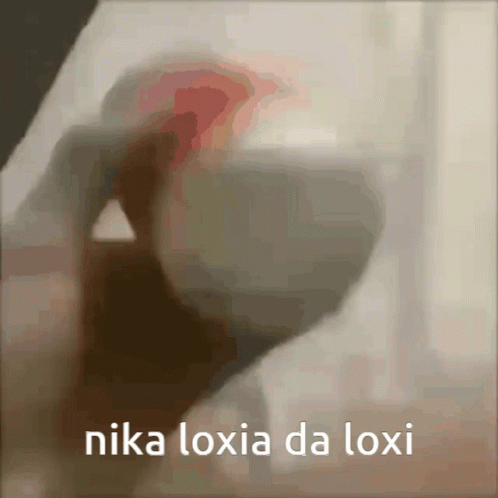 Nika Loxia GIF - Nika Loxia Nika Loxia GIFs
