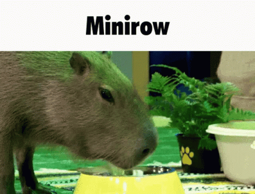 Minirow 230x GIF - Minirow 230x Robin GIFs