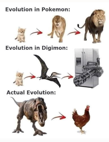 Evolution GIF - Evolution GIFs