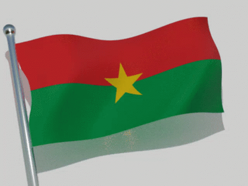 Burkina Faso Flag GIF - Burkina Faso Flag Flag Waver GIFs