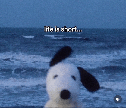 a snoopy stuffed animal stands in front of the ocean with the words life is short below it