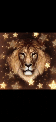 a lion 's head is surrounded by gold stars