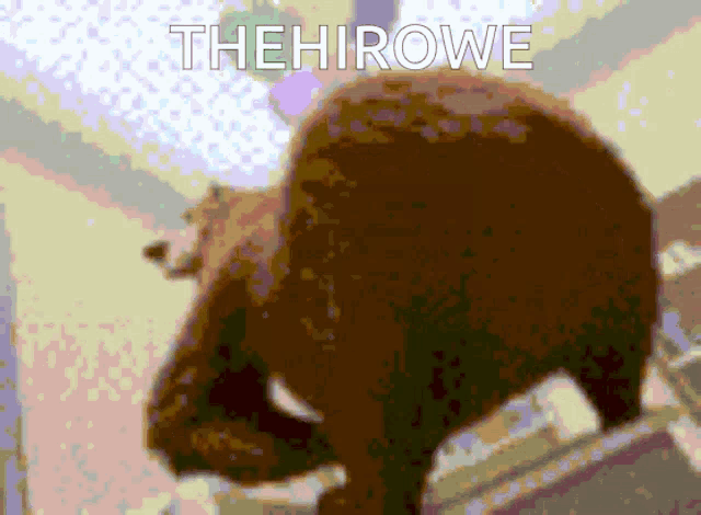 a blurred image of a bear with the words thehirowe written above it
