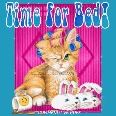 a picture of a cat with curlers and bunny slippers says " time for bed "