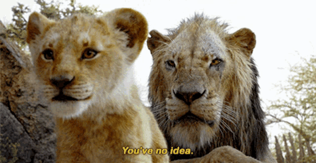 The Lion King Scar GIF - The Lion King Scar Youve No Idea GIFs