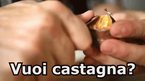 Castagna Castagne Caldarroste Ottobre Autunno Cibo Mangiare GIF - Chestnut Roast Chestnut October GIFs