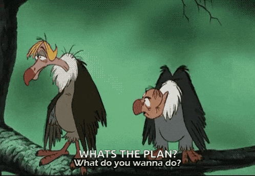 two vultures are standing next to each other on a tree branch and one of them is asking the other what the plan is .